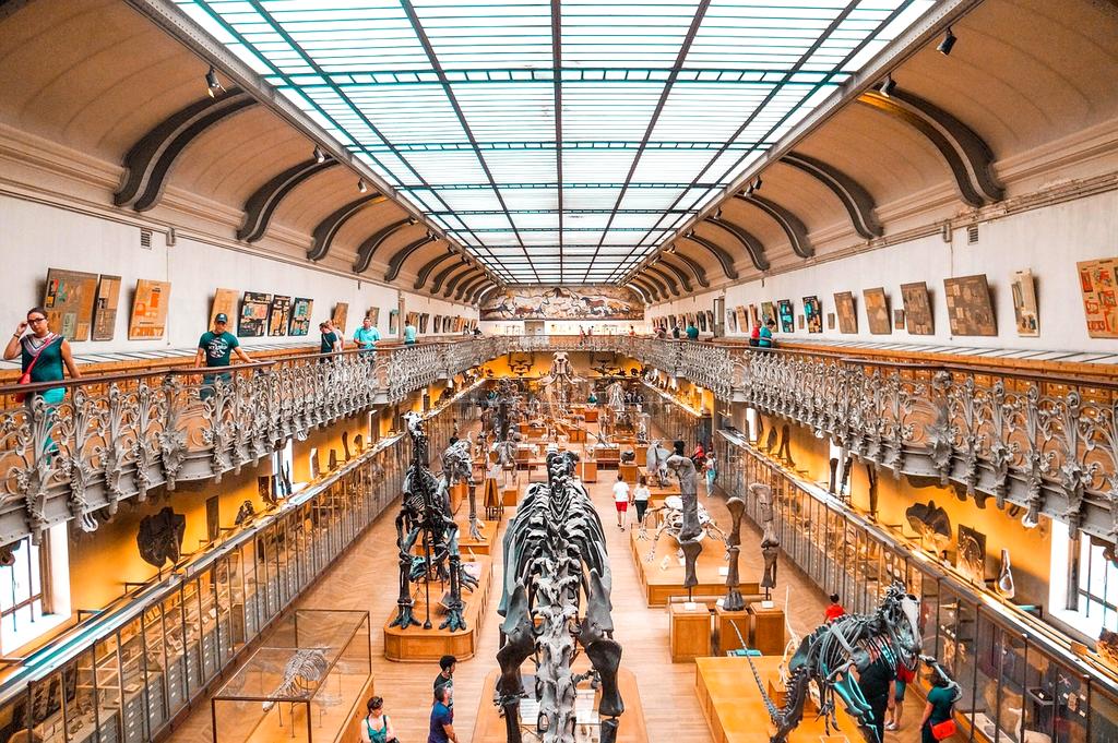 Holographic brain visualization representing neural pattern mapping