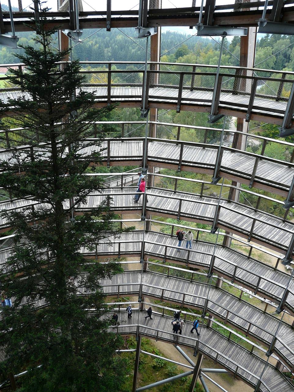 Portrait of Dr. Jonas Keller, Head of AI Development